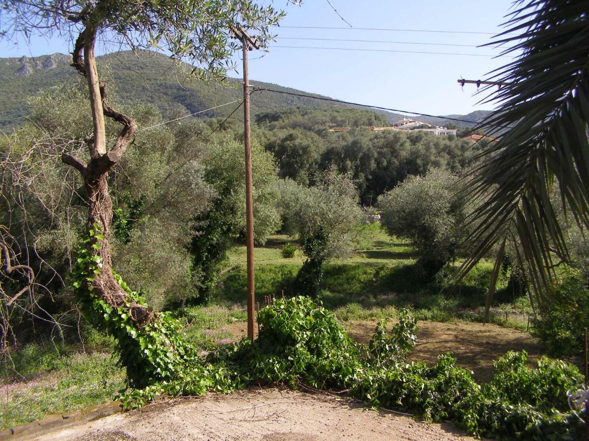 Milos Studios Parga Exterior photo